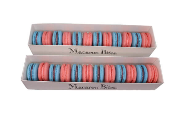 French Macaron</br> Pink and Blue Checkered