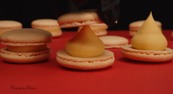 24 Assorted French Macaron Cookies Value Pack of 2 (48 macarons total) - Image 7